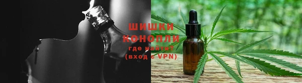 мяу мяу мука Белокуриха