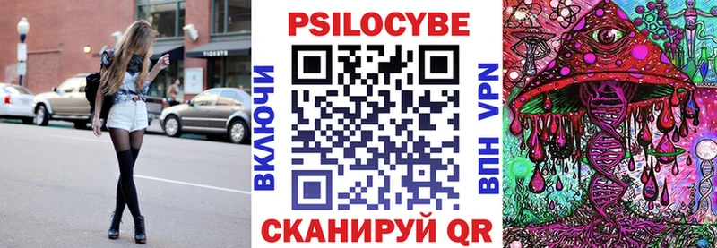 Галлюциногенные грибы Cubensis  darknet наркотические препараты  Красноперекопск  где найти наркотики  гидра маркетплейс 