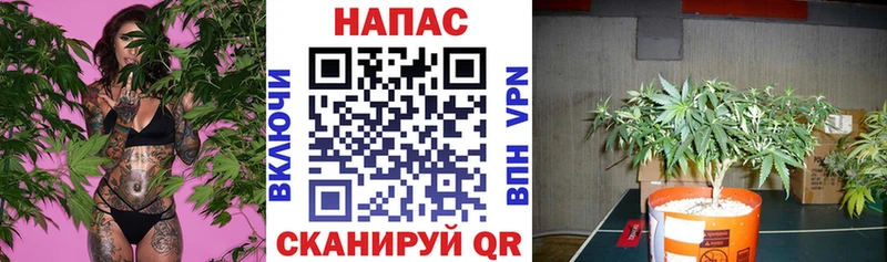 Каннабис гибрид Красноперекопск